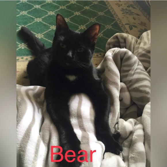 Please read 💚 - Picture 9 of 14